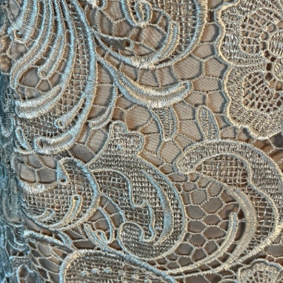 Adrianna Pappel Strapless Lace Knee Length Dress in Color Champagne Size 8P - Picture 6 of 9